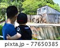ゾウを見る幼児とそれを抱っこする父親の後ろ姿／宇都宮動物園 77650385