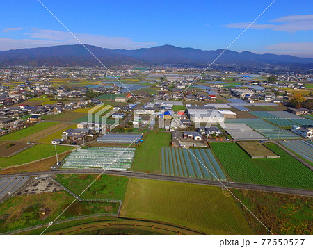 徳島平野〜ドローンで空撮(吉野川 左岸/徳島県上板町綾部) 徳島平野〜ドローンで空撮(吉野川 左岸/徳島県上板町綾部) 77650527