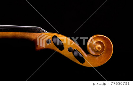 Details of violin head closeup isolated on black 77650731