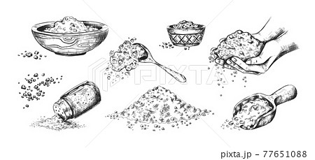 Sea salt sketch. Hand drawn seasoning in wooden bowls or glass saltcellar. Scoop and spoon full of crystals. Black and white salty spices. Vector cooking ingredient for food conservation Sea salt sketch. Hand drawn seasoning in wooden bowls or glass saltcellar. Scoop and spoon full of crystals. Black and white salty spices. Vector cooking ingredient for food conservation 77651088
