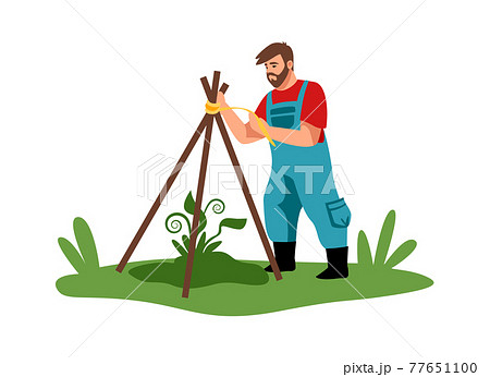 Planting. Cartoon man working in garden. Agricultural worker building wooden construction for plant protection. Male character takes care of seedlings. Vector gardener grows bushes 77651100