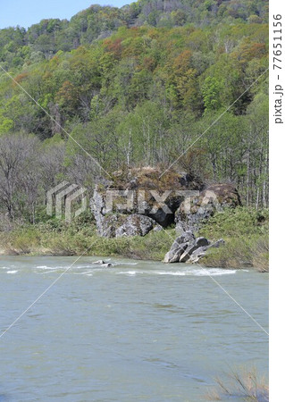 鷹泊岩（北海道深川市） 77651156
