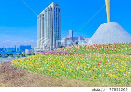 【東京の都市風景】春のお台場の都市風景 77651205