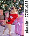 Dog in santa costume is sitting under christmas tree with gifts in studio 77651988