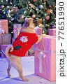 Dog in santa costume is sitting under christmas tree with gifts in studio 77651990
