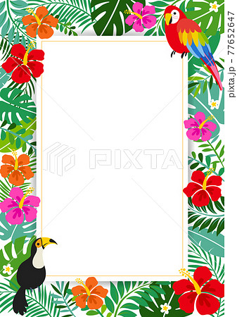 Hibiscus And Tropical Summer Background Frame Stock Illustration