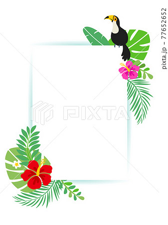 ハイビスカスとトロピカルな夏の背景フレーム 縦のイラスト素材