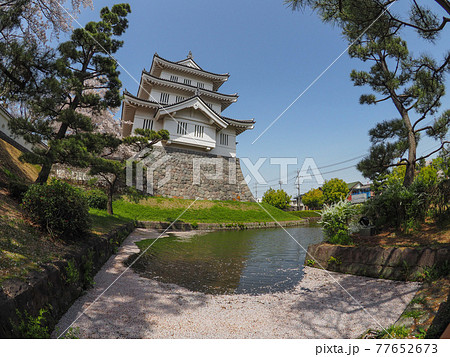 桜満開の忍城 77652673