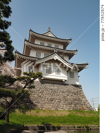 桜満開の忍城 77652674