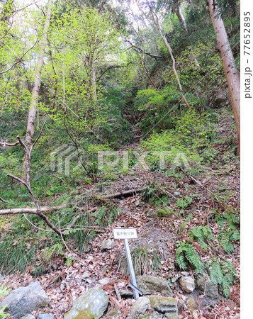 和銅遺跡 露天掘り跡 77652895