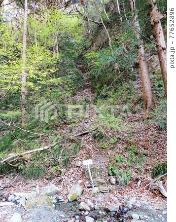 和銅遺跡 露天掘り跡 77652896