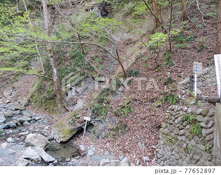 和銅遺跡 露天掘り跡 77652897