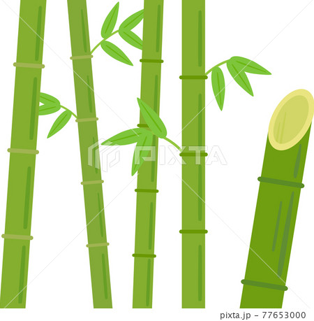 竹林と斜めに切った竹のイラスト素材