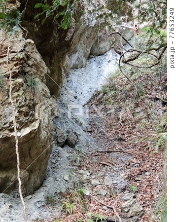 和銅遺跡 和銅露天掘り跡 77653249