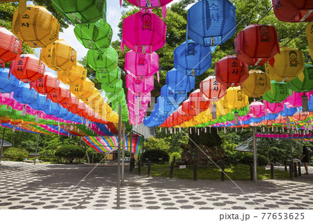 提灯 祭り 多彩 77653625