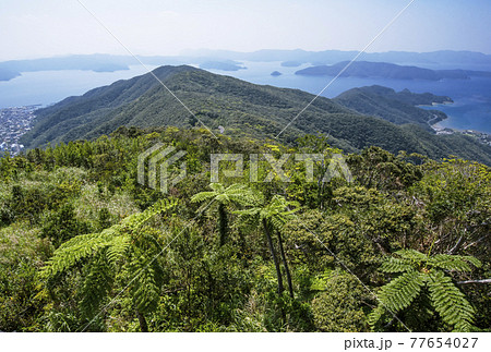 奄美大島の風景　奄美の山と海　南国リゾート　自然遺産の島 77654027