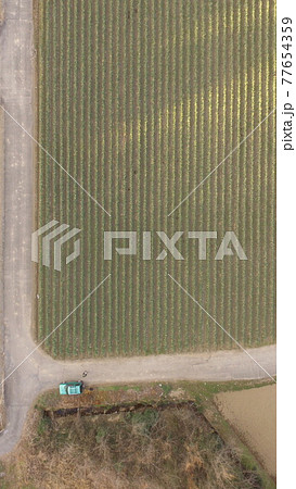 農地(埼玉県大里郡寄居町) 農地(埼玉県大里郡寄居町) 77654359