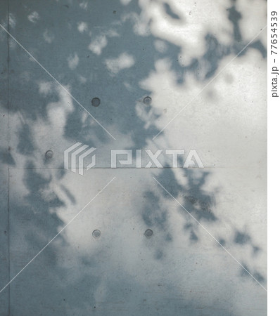 コンクリート打ち放しの壁に映る木漏れ日 77654539