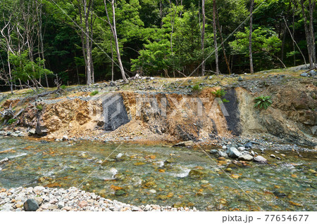 長野県下伊那郡大鹿村　中央構造線　安康露頭　 77654677