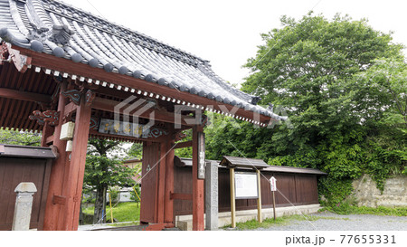 神奈川県横浜市金沢区の古刹・名刹の鎌倉幕府執権の北条氏ゆかりの称名寺の菖蒲 77655331