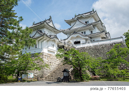 新緑の上野城【三重県伊賀市】 77655403
