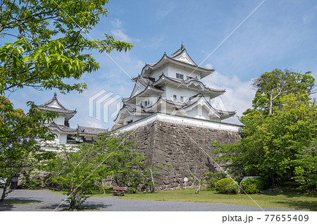 新緑の上野城【三重県伊賀市】 77655409
