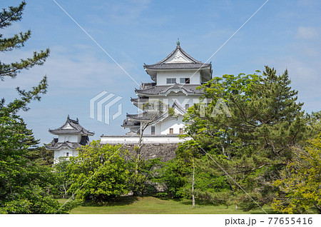 新緑の上野城【三重県伊賀市】 77655416