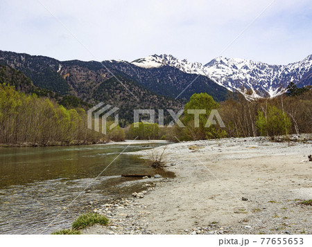 長野県松本市の観光名所の上高地の春 77655653