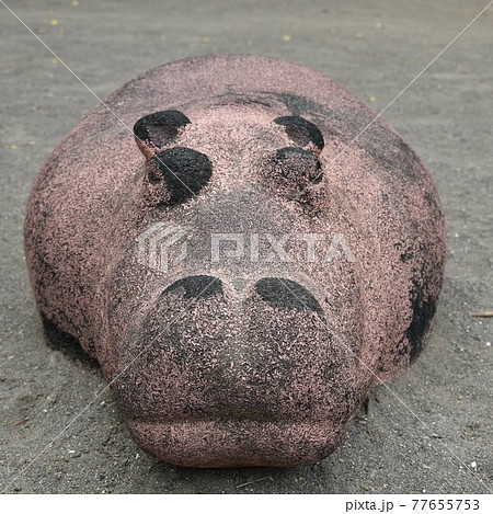 カバのコンクリート製遊具 カバのコンクリート製遊具 77655753