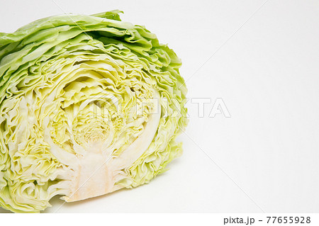 キャベツの断面 キャベツの断面 77655928