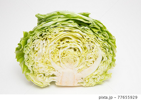 キャベツの断面 キャベツの断面 77655929