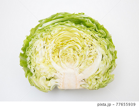 春キャベツ　半分　断面 77655939