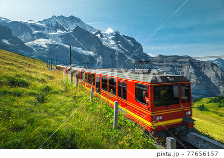 Electric tourist cogwheel train on the slope in Switzerland 77656157