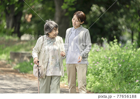 公園で散歩するシニア女性と介護士 公園で散歩するシニア女性と介護士 77656188
