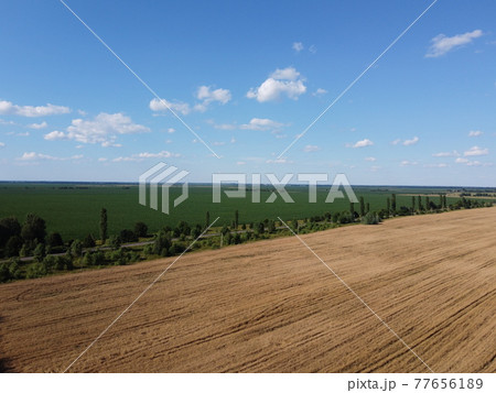 Ripe cereals on a farm field in summer, top view. Clear blue sky over the fields, landscape from a bird's eye view. Ripe cereals on a farm field in summer, top view. Clear blue sky over the fields, landscape from a bird's eye view. 77656189