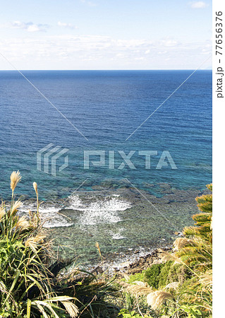 奄美大島のビエン浜 77656376