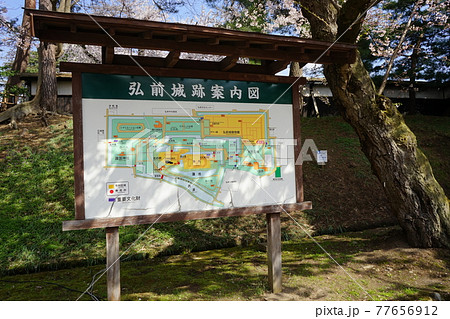 弘前公園の春　弘前城植物園 77656912