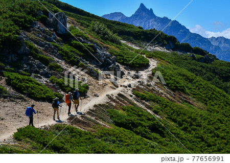 夏山ハイキング 77656991