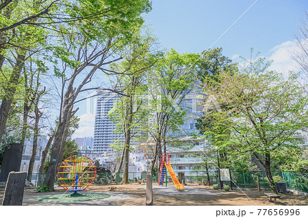 新緑の児童公園 新宿区立天神山児童公園 東京都新宿区 新緑の児童公園 新宿区立天神山児童公園 東京都新宿区 77656996