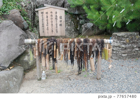 藻汐祓（佐太神社／島根県松江市鹿島町佐陀宮内） 77657480