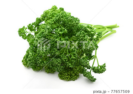 パセリ 77657509