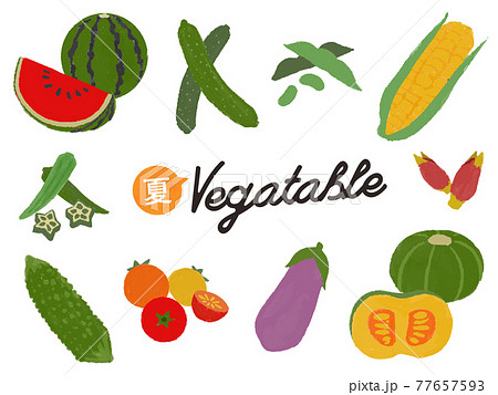 夏野菜のイラスト セットのイラスト素材