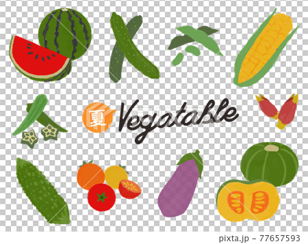夏季蔬菜插圖集 77657593