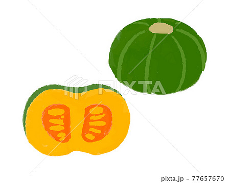夏の野菜イラスト かぼちゃのイラスト素材