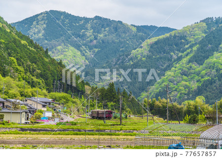 《岐阜県》長良川鉄道 77657857