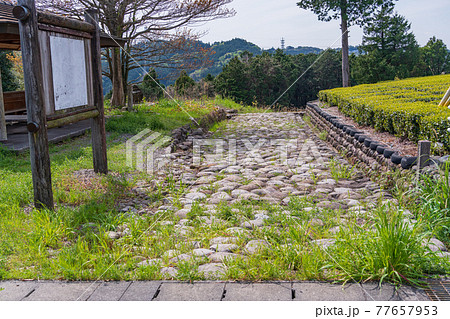 (静岡県)諏訪原城跡付近の旧東海道菊川坂 (静岡県)諏訪原城跡付近の旧東海道菊川坂 77657953