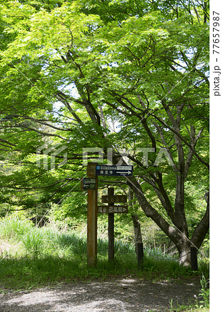 石道寺　鶏足寺への道標　滋賀県長浜市 77657987