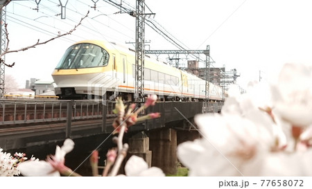 伊勢志摩ライナーと桜 77658072