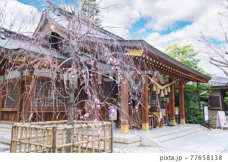 神社仏閣 新田神社 東京都大田区 神社仏閣 新田神社 東京都大田区 77658138