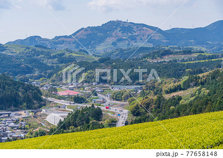 (静岡県)諏訪原城跡付近から粟ヶ岳の茶文字を望む (静岡県)諏訪原城跡付近から粟ヶ岳の茶文字を望む 77658148